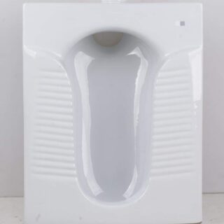Indian Flush Toilet Seat