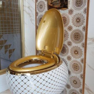 Ceramic Egg-Shape Bathroom Wall Hung Toilet